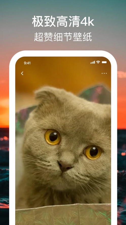 4DWallpaper 4DWallpaper