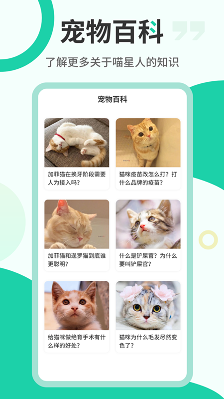 猫叫翻译机 猫叫翻译机