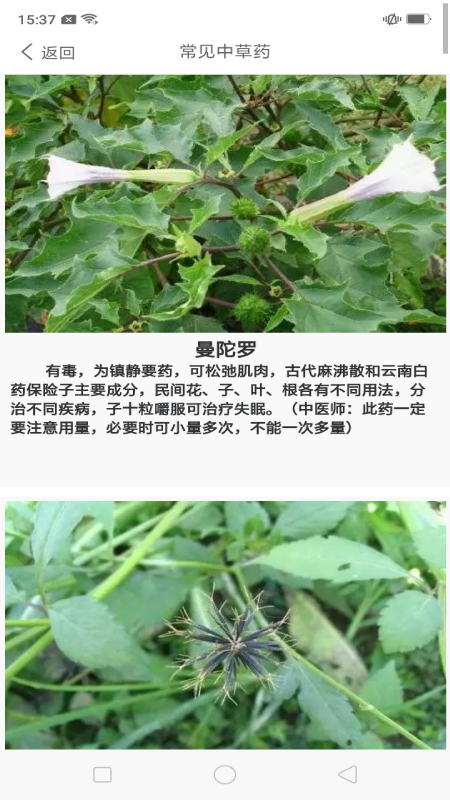 中药养生记 中药养生记