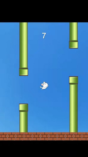 元气猫咪 元气猫咪