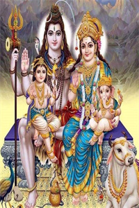 1638343439723646.jpg 1638335905322296.jpg