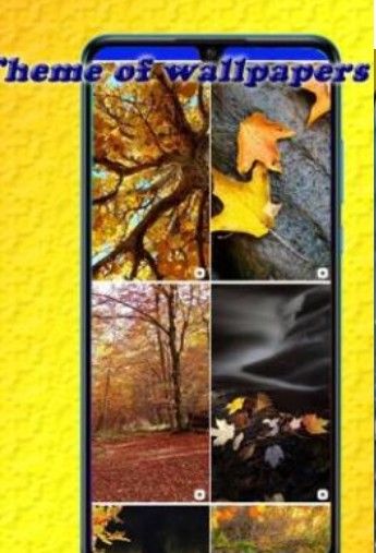 甜美壁纸和背景 甜美壁纸和背景