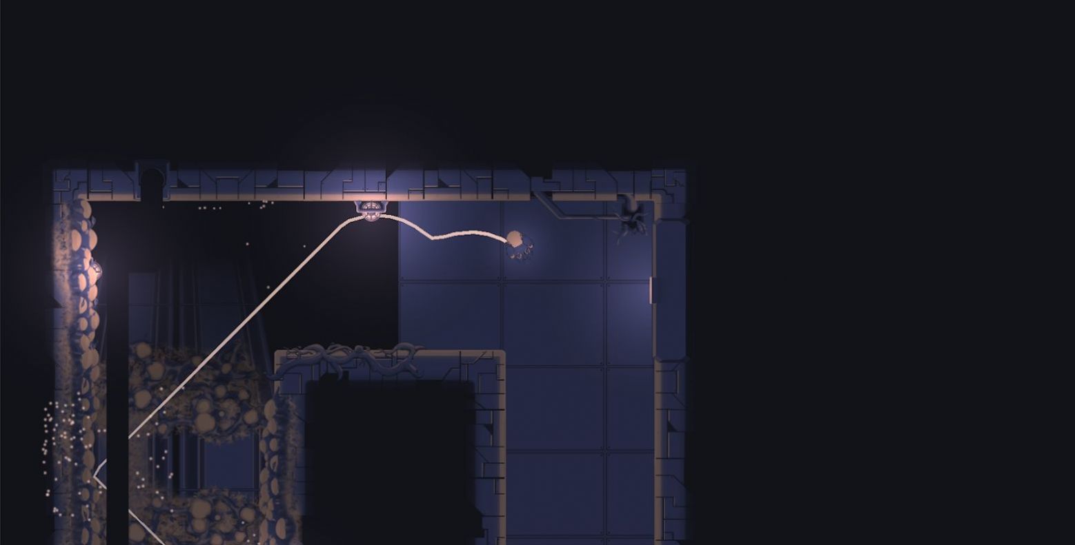 虚空生物 虚空生物