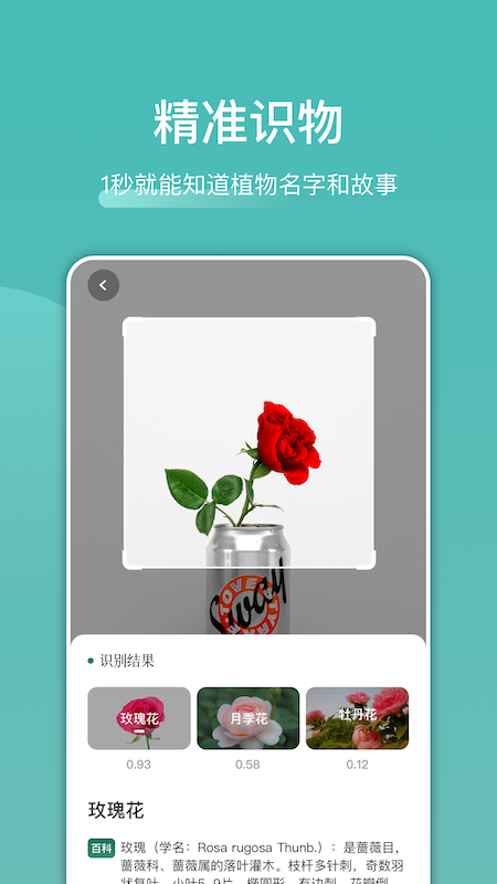 识花识物 识花识物