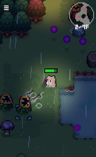 猫咪归家路 猫咪归家路