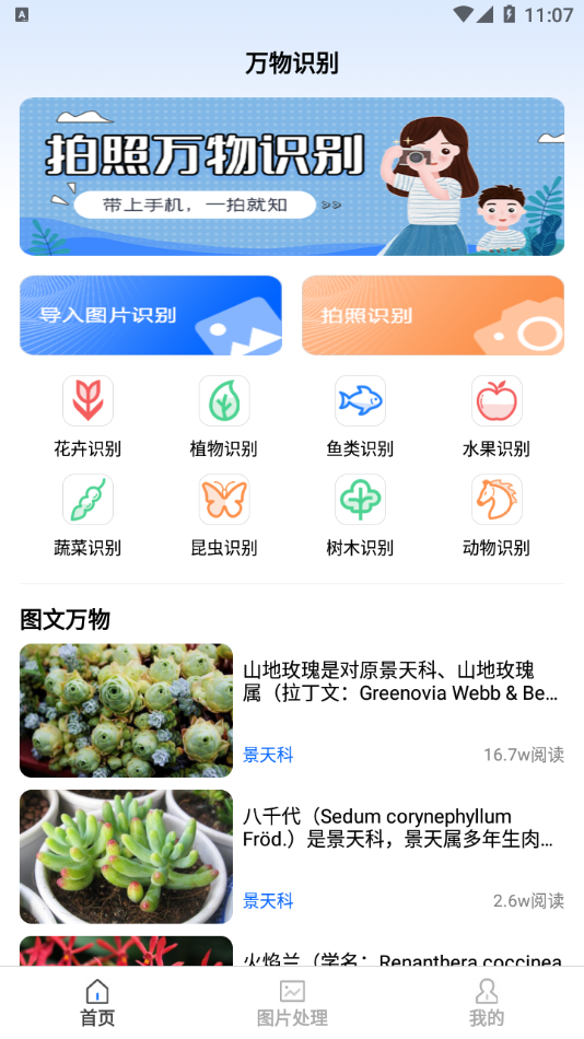 拍图识物