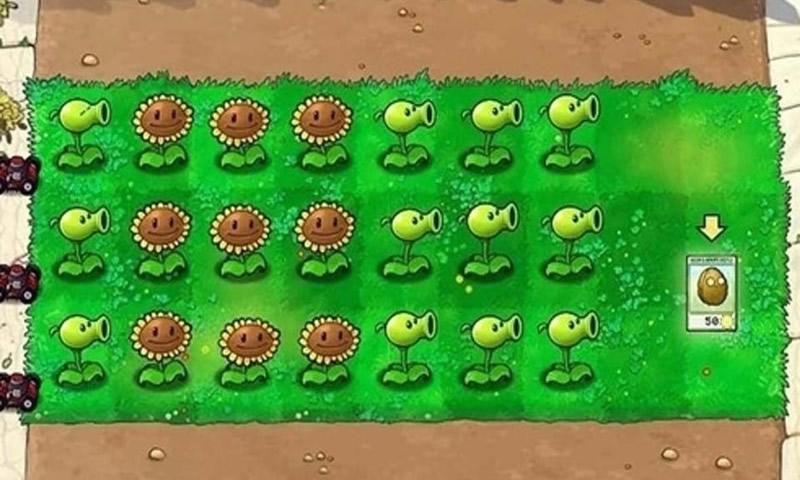 植物大战僵尸金坷垃