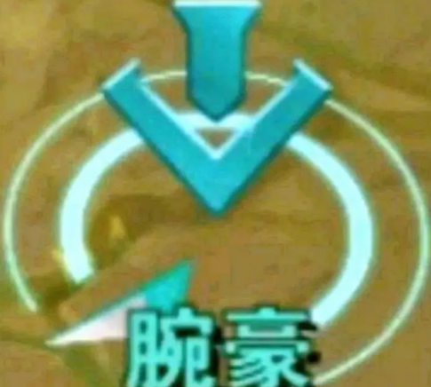 劲夫腕豪表情包