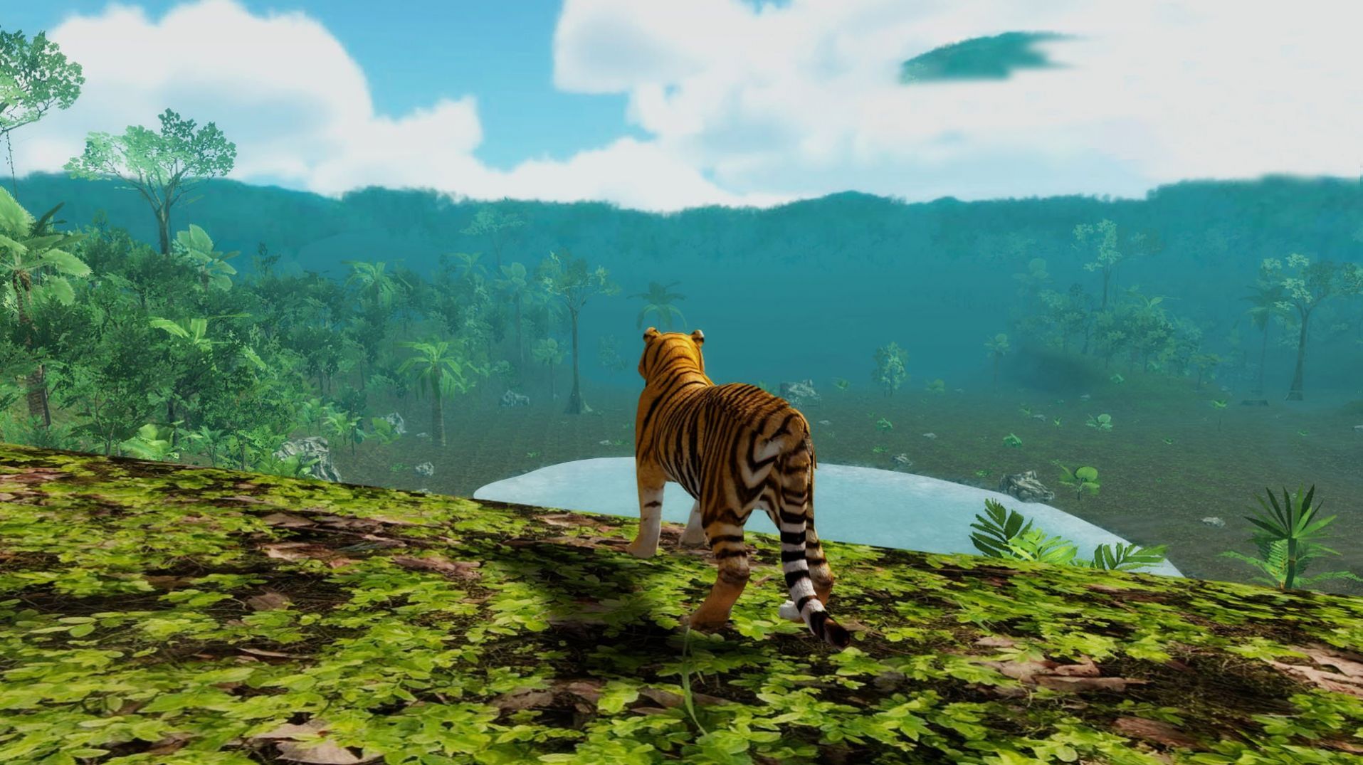 老虎森林捕猎 老虎森林捕猎