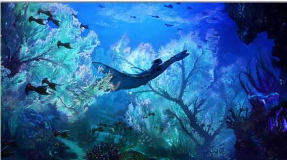 少年王者冲刺 少年王者冲刺