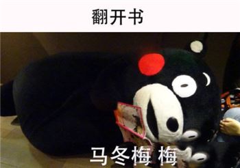 熊本熊表情包 熊本熊表情包