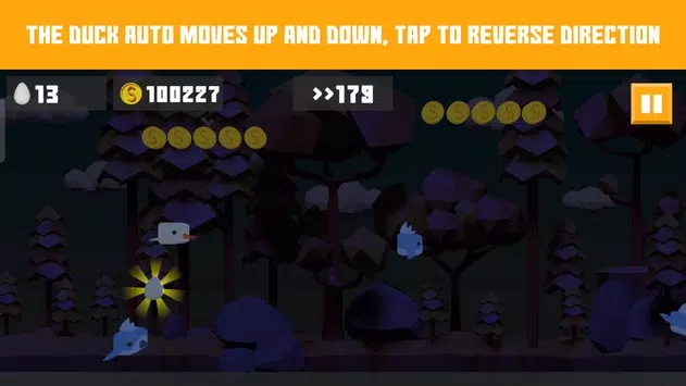 酥皮鸭鸟类迁徙