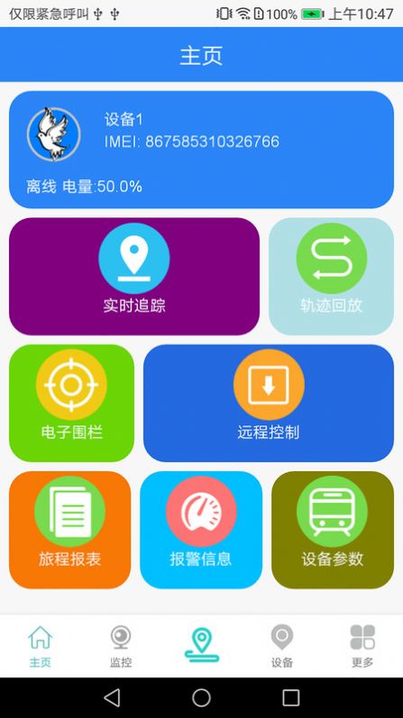 传信鸽 传信鸽