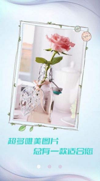 小猪壁纸大全 小猪壁纸大全