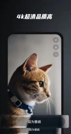 余香壁纸 余香壁纸