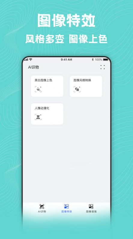 图片动漫风格转换大师 图片动漫风格转换大师