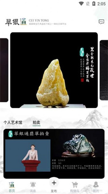 翠银通珠宝电商