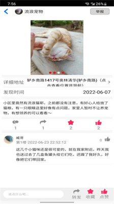 流浪宠物领养 流浪宠物领养