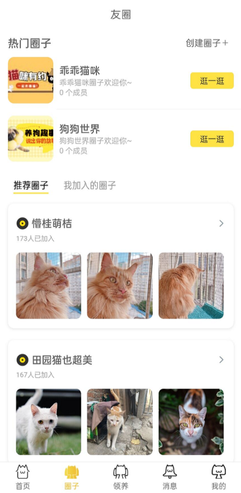 种猫家 种猫家