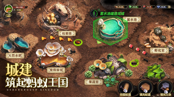 小小蚁国破解版