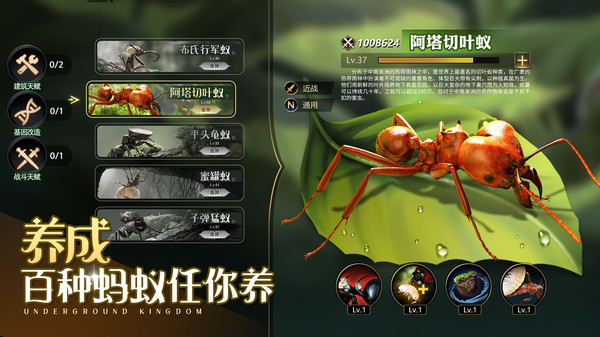 小小蚁国破解版