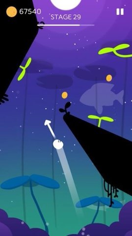 月蛙(MoonFrog) 月蛙(MoonFrog)