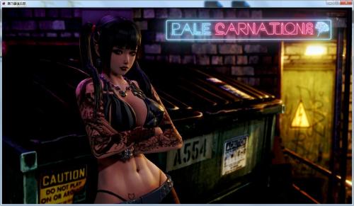 康 乃馨俱乐部5.1安卓汉化版