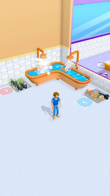 1696841650671351.jpg 1696841650671351.jpg