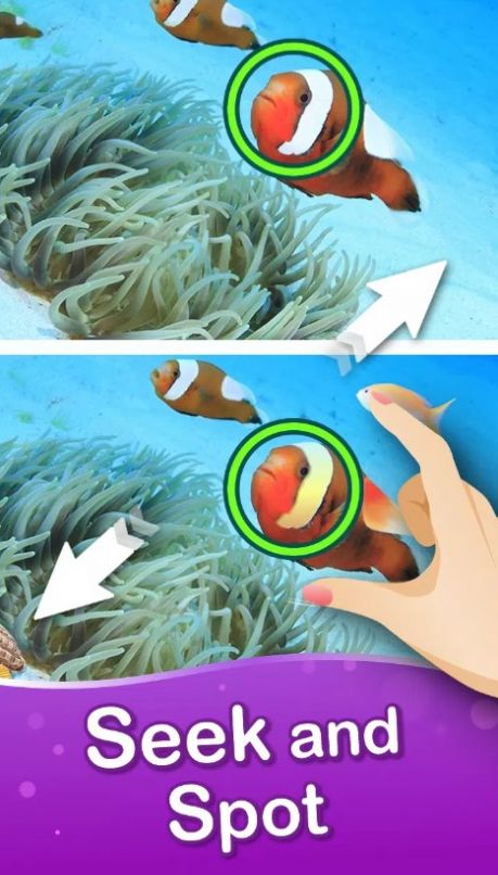 1698456922120039.jpg 1698456922120039.jpg