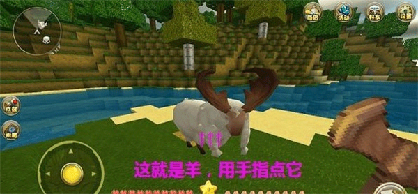 1702957155169558.jpg 1702957155169558.jpg