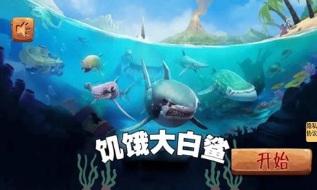 1703560669316377.jpg 1703560669316377.jpg