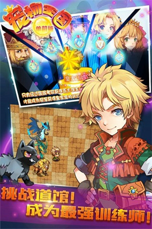 宠物王国单机版999999级神宠