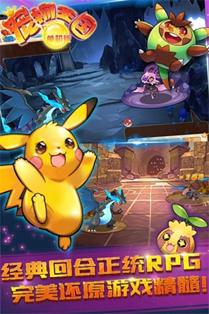 宠物王国单机版999999级神宠