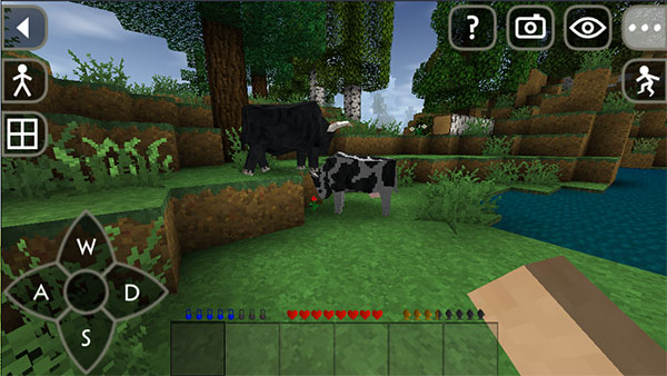 1704185411152437.jpg 1704185411152437.jpg