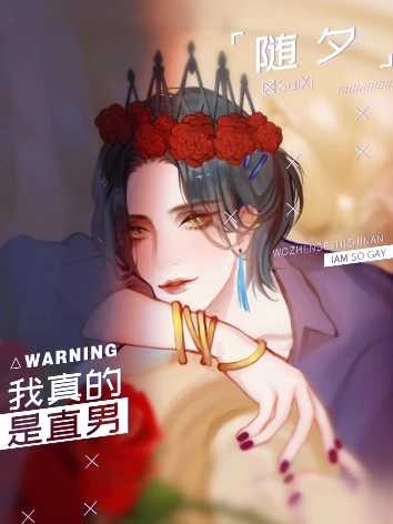 我真的是直男橙光完结版