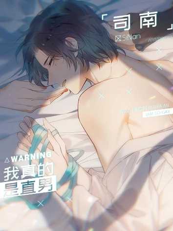 我真的是直男橙光完结版