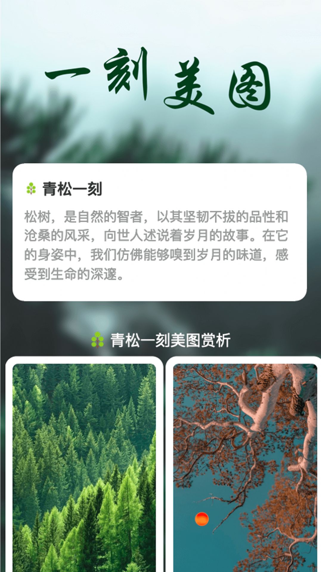 1704852594944691.jpg 1704852594944691.jpg