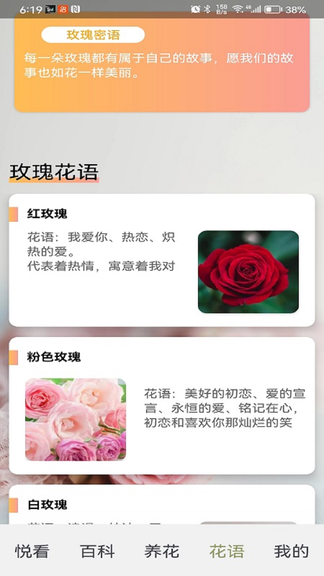 1705296348281205.jpg 1705296348281205.jpg