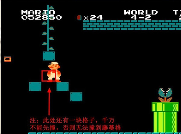 1706062419128987.jpg 1706062419128987.jpg