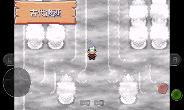 1706231382170226.jpg 1706231382170226.jpg