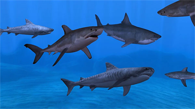 1706768624193111.png 1706768624193111.png