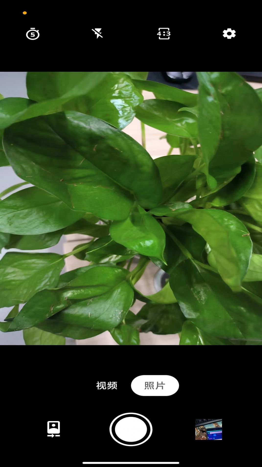 1707035478124827.jpg 1707035478124827.jpg