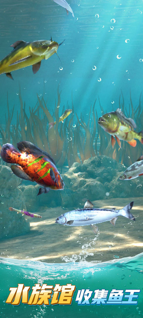 1707109810206167.png 1707109810206167.png