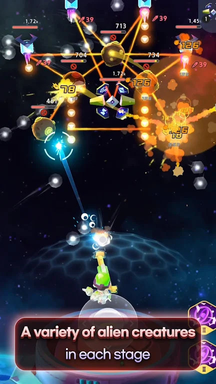 1707708276167534.jpg 1707708276167534.jpg