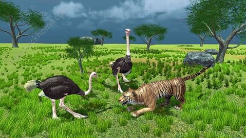 终极鸵鸟模拟器