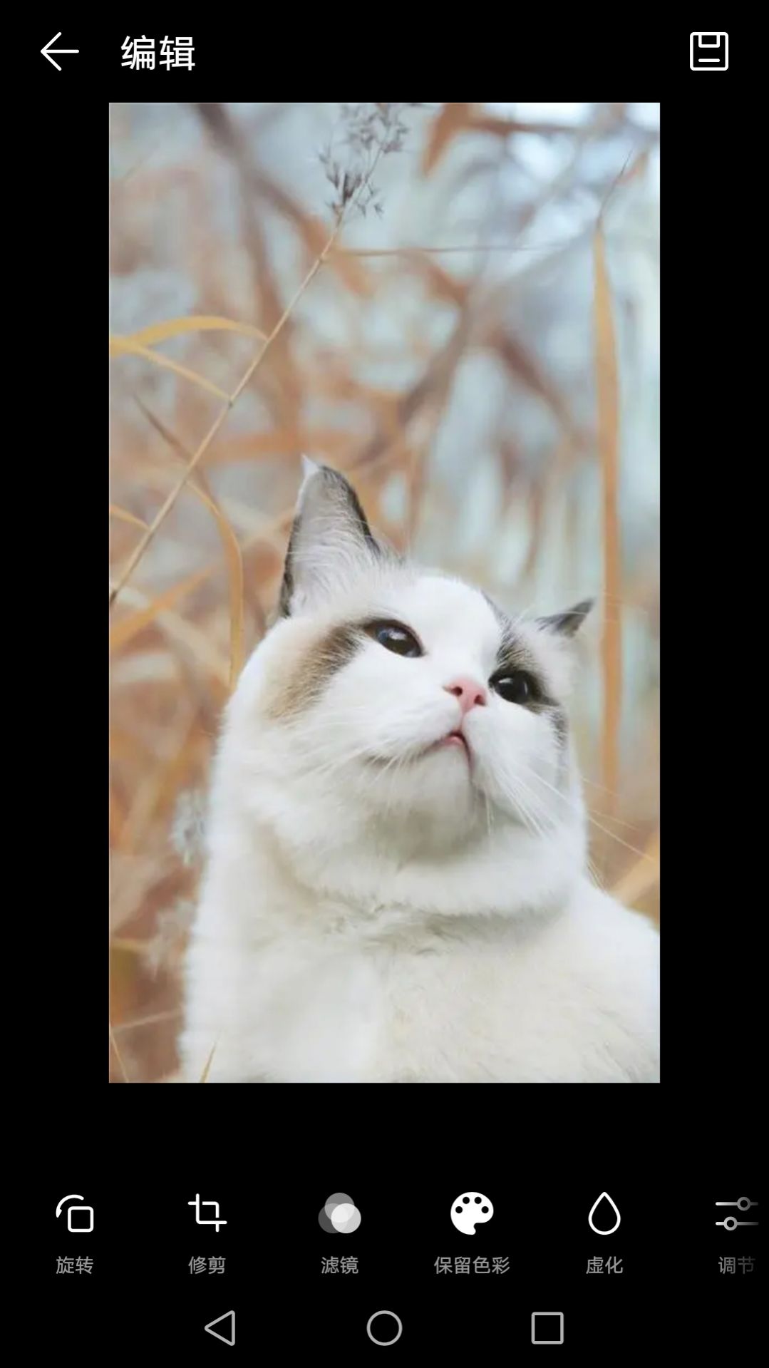 1709084702167650.jpg 1709084702167650.jpg