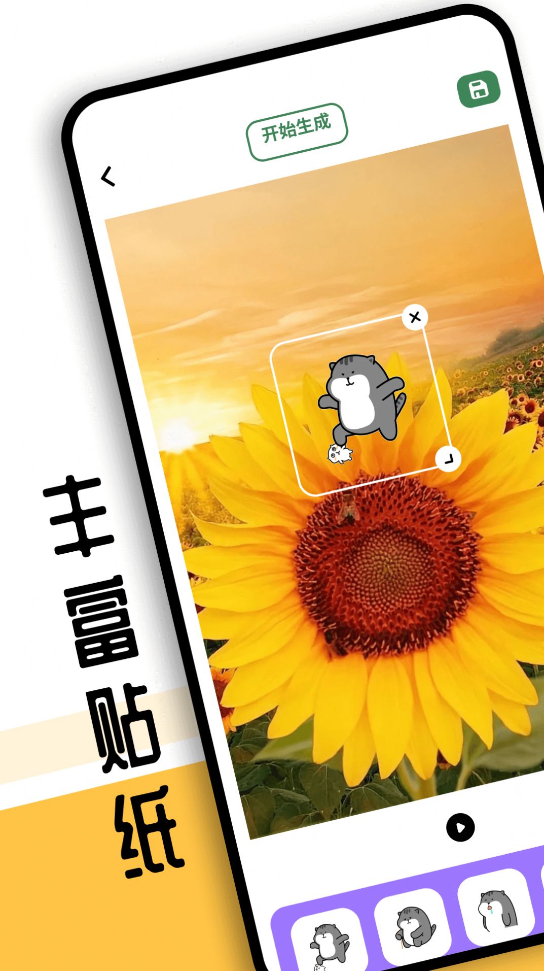 1709173622182829.jpg 1709173622182829.jpg