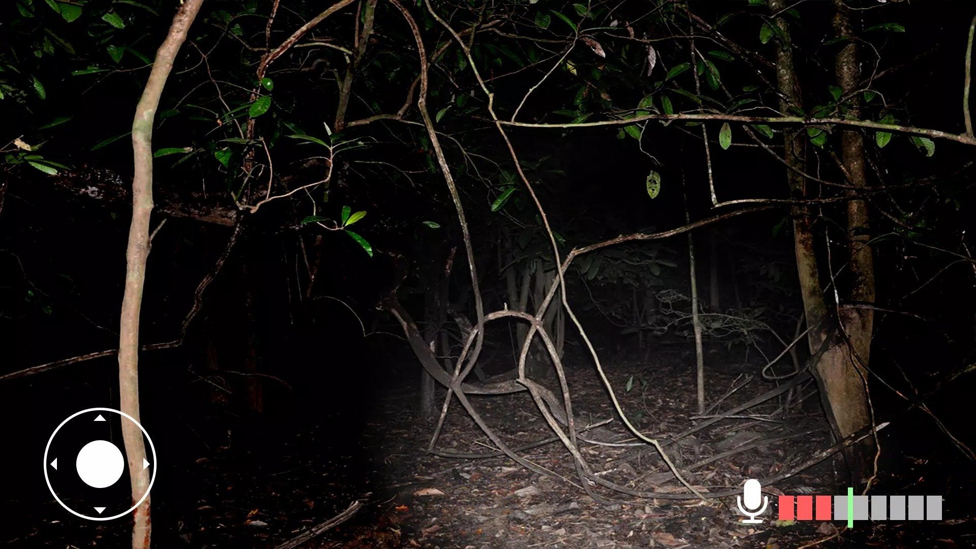 1710314854199669.jpg 1710314854199669.jpg