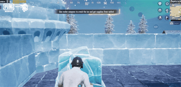 1710380972308893.jpg 1710380972308893.jpg