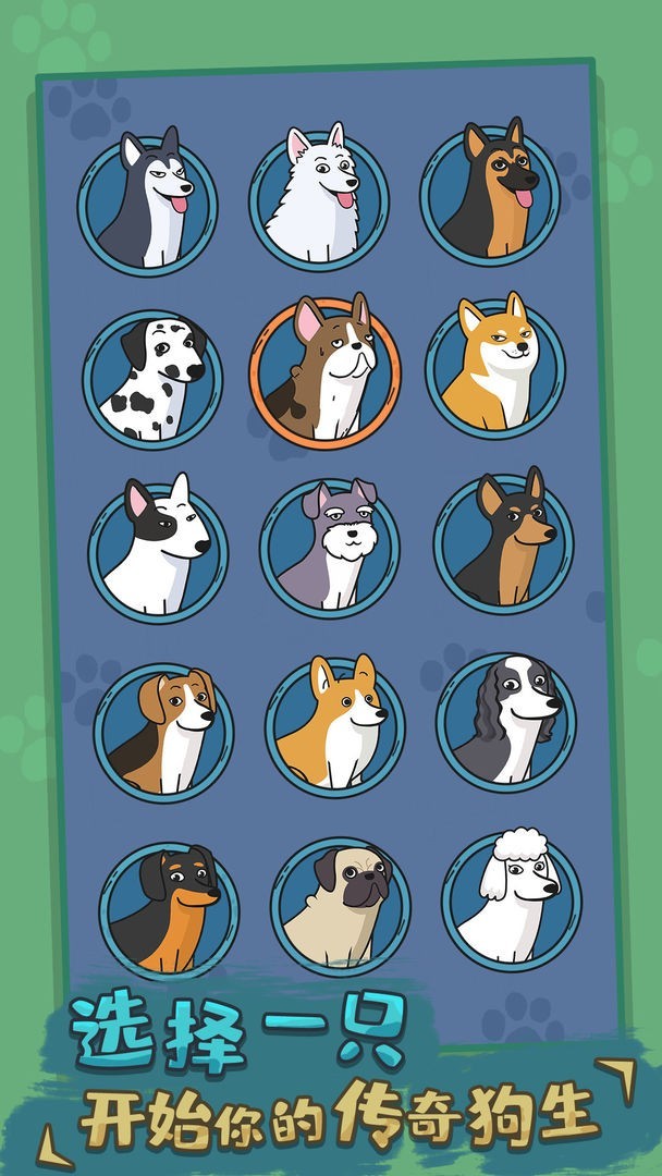 1711510159130900.jpg 1711510159130900.jpg